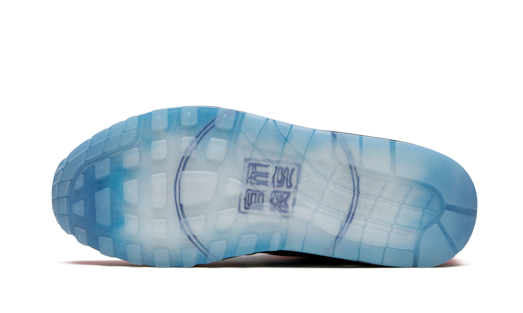 Air Max 1 "Chinese New Year - Longevity" CU8861 460