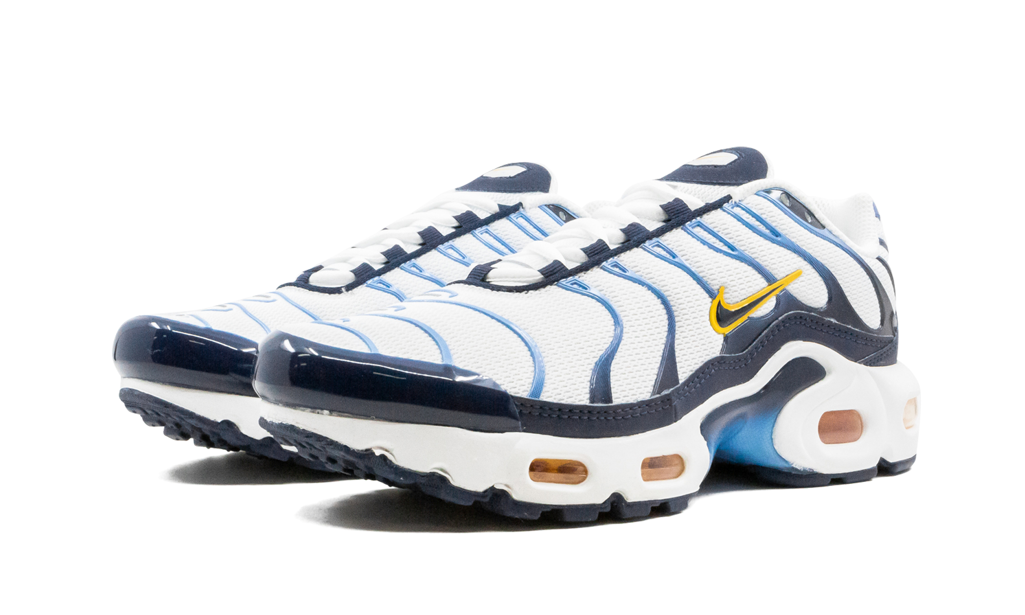 Air Max Plus CD0609 100