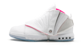16 Retro Solefly "Solefly" 854256 119