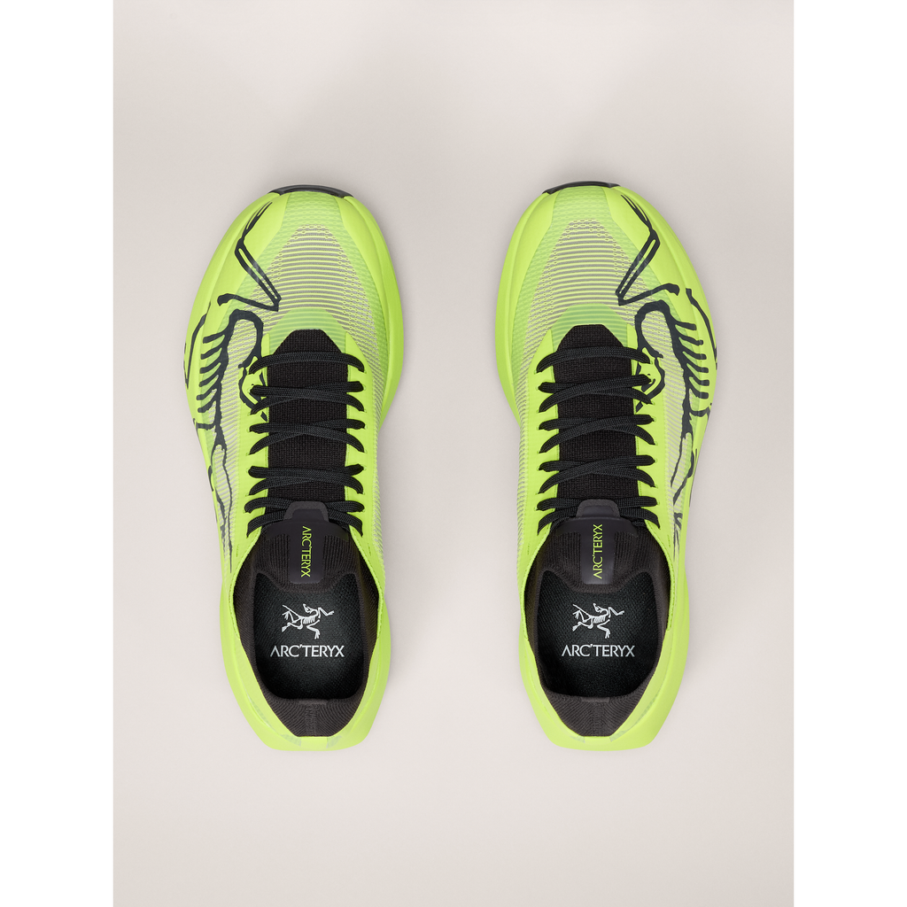 Men's Sylan 2 Shoes