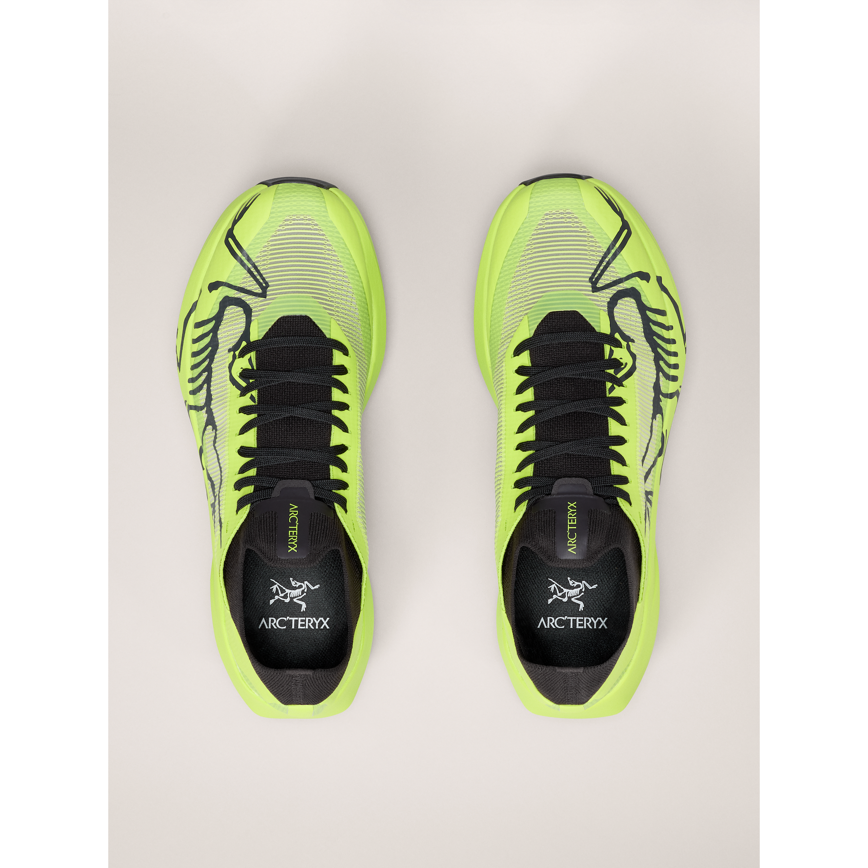 Men's Sylan 2 Shoes