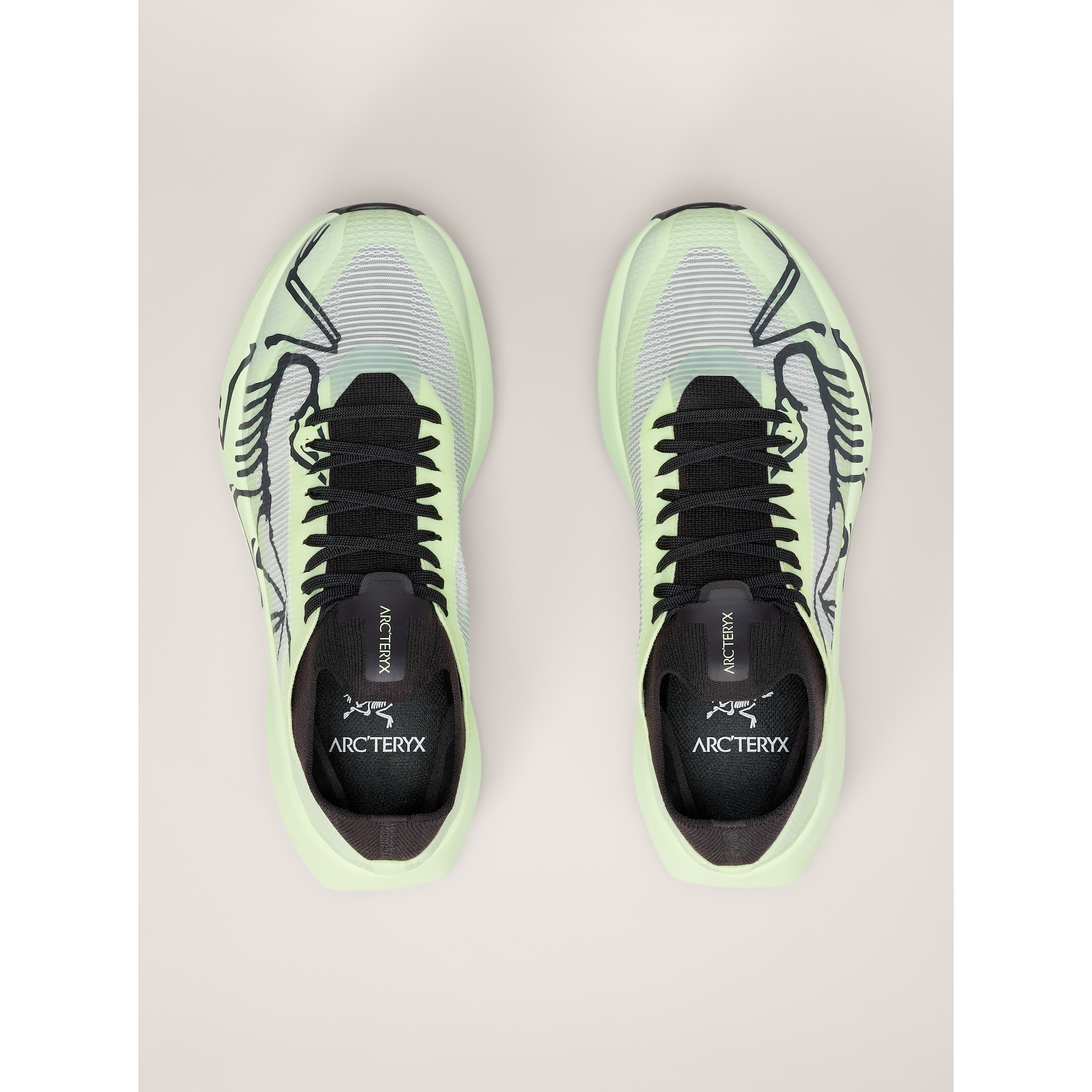 Women's Sylan 2 Shoes