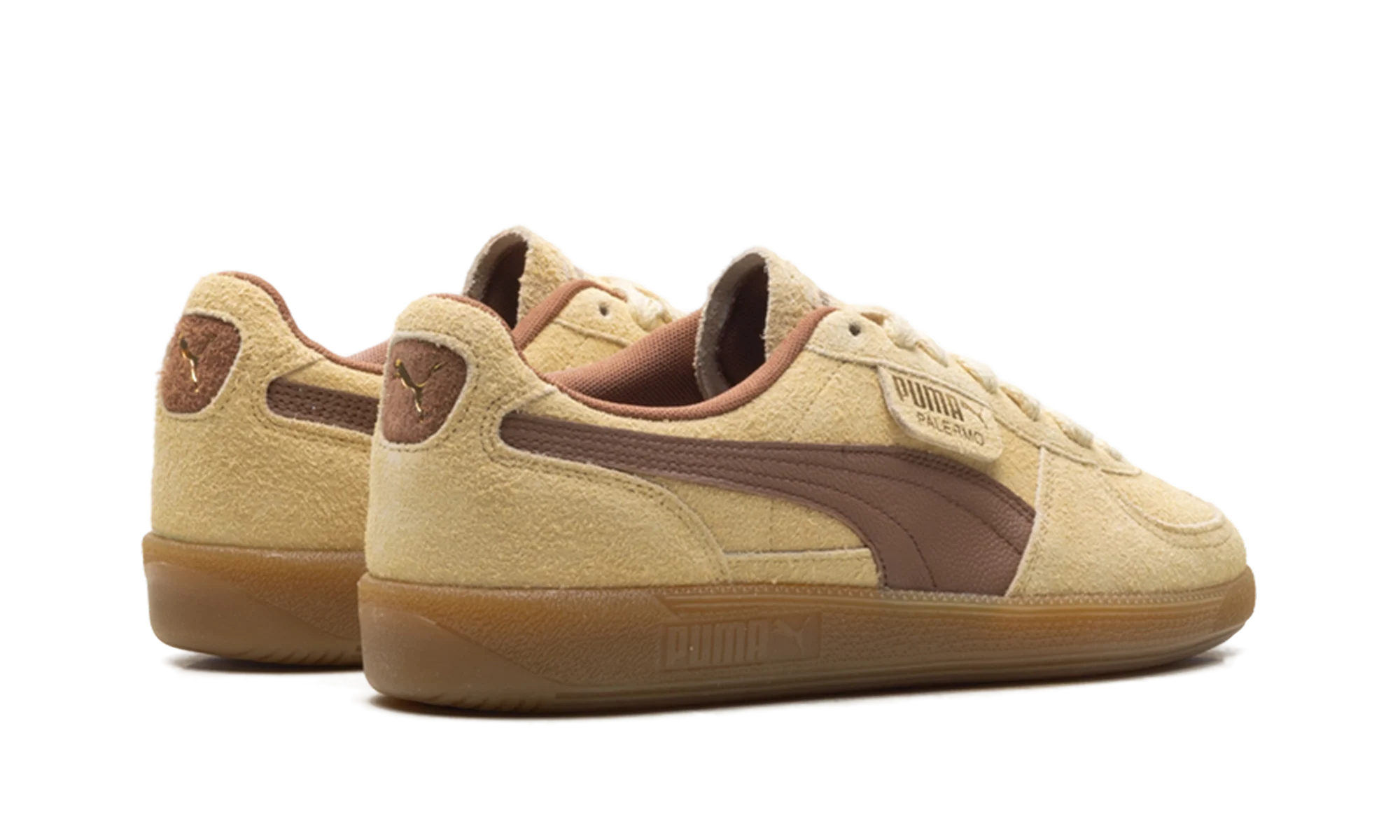Palermo OG "Chamomile Brown Mushroom" 397251 01