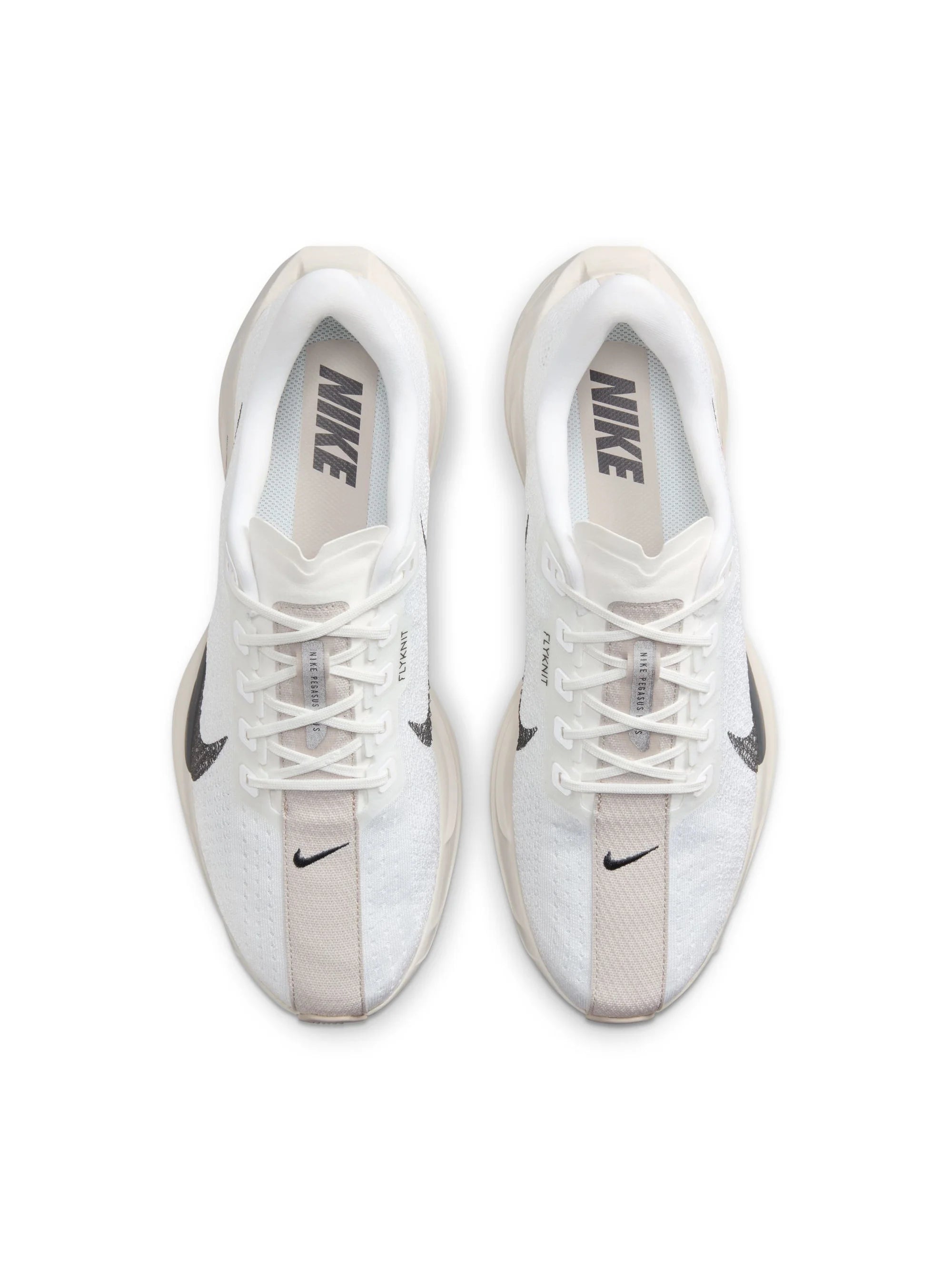 Nike Pegasus Plus Mens Shoes