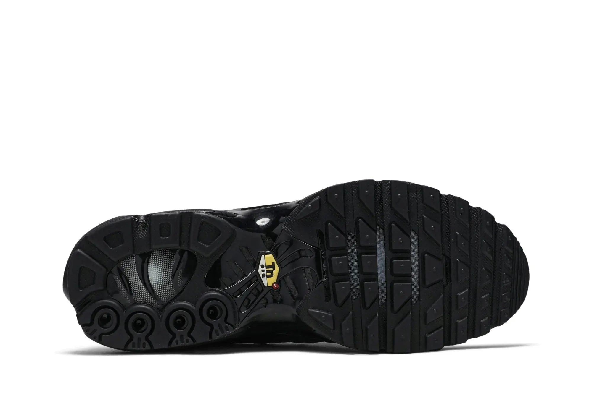 Air Max Plus Triple Black