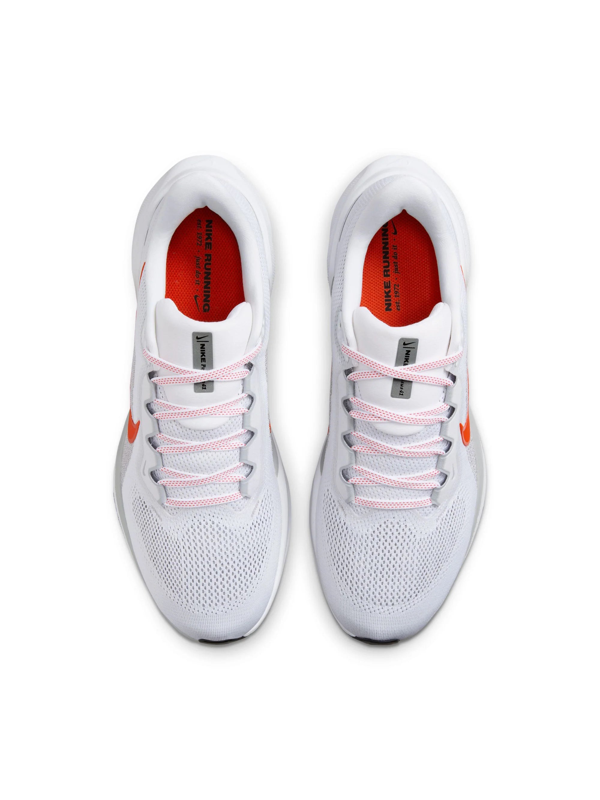 Nike Air Zoom Pegasus 41 Mens Shoes