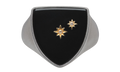 Star Detailed Signet Ring "Silver/ Gold" SM1UQ0106P6478964