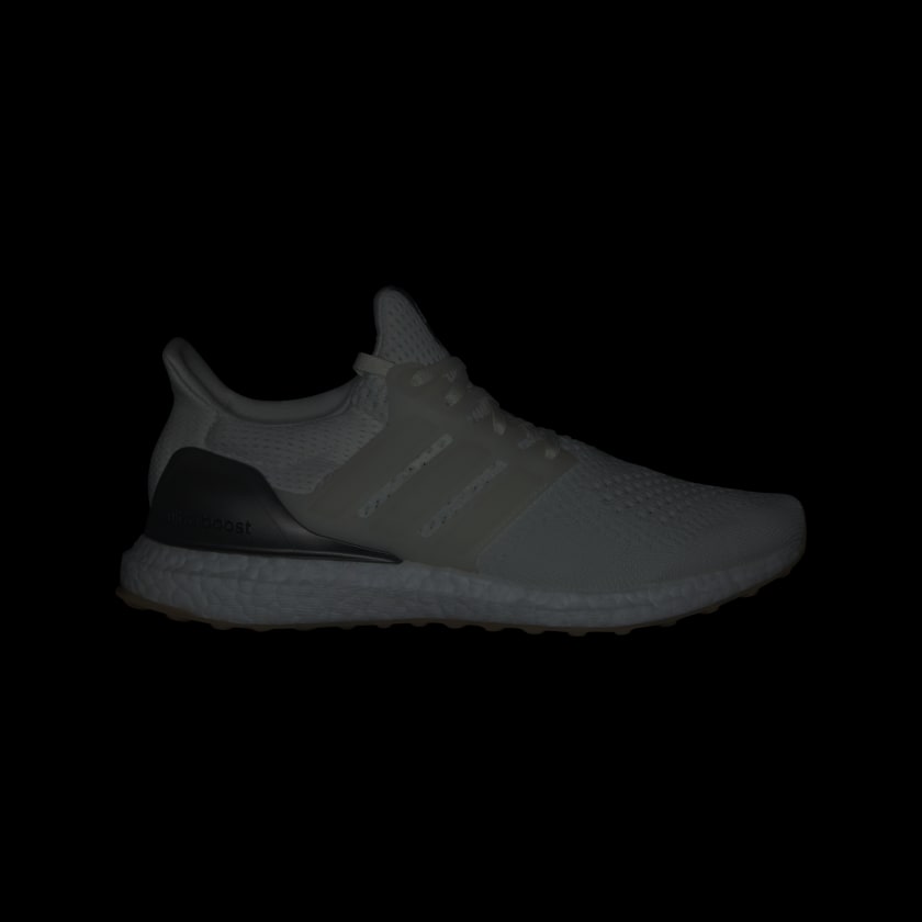 Men's Ultraboost 1.0 Shoes