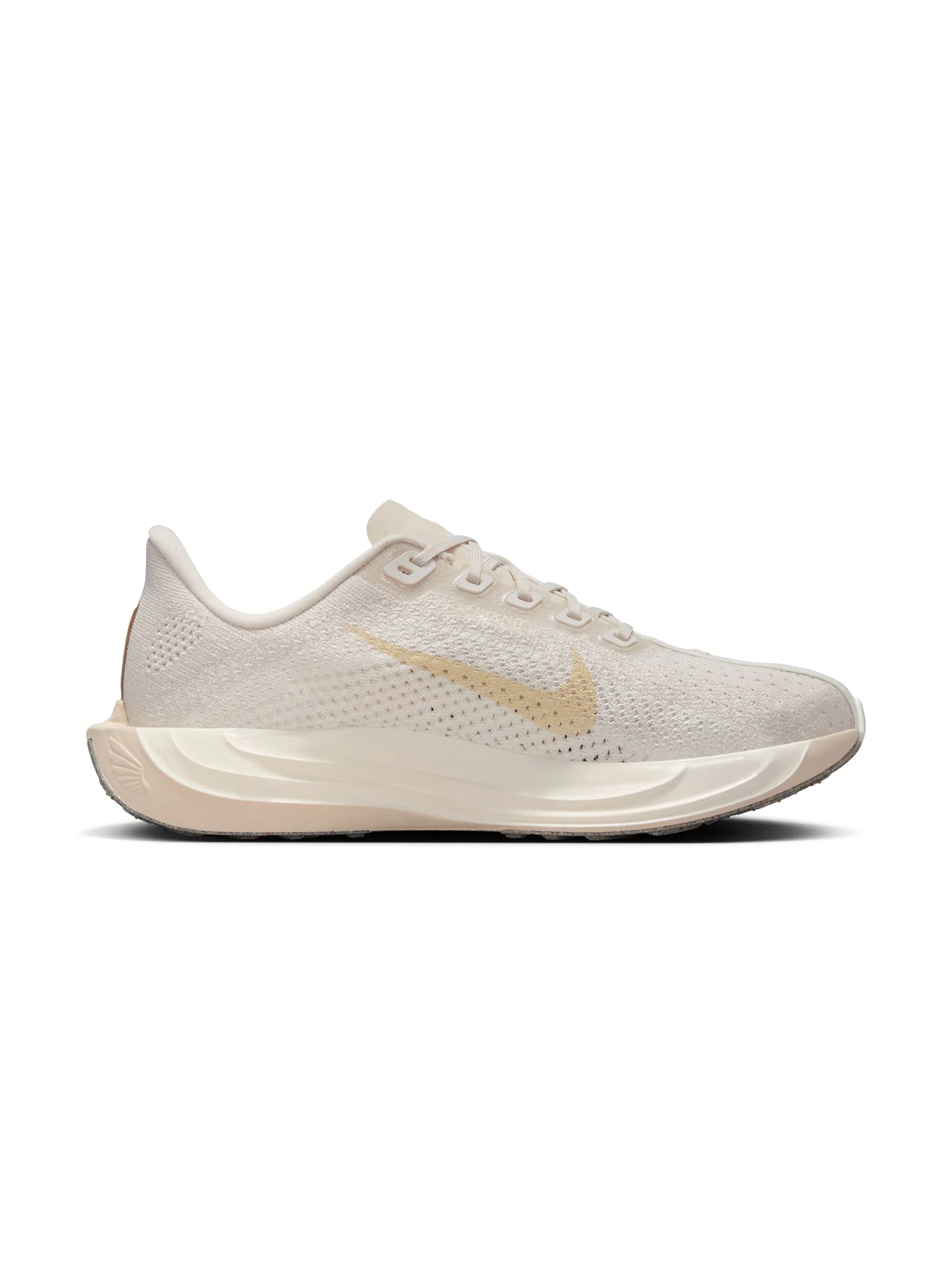 Nike Pegasus Plus Womens Shoes