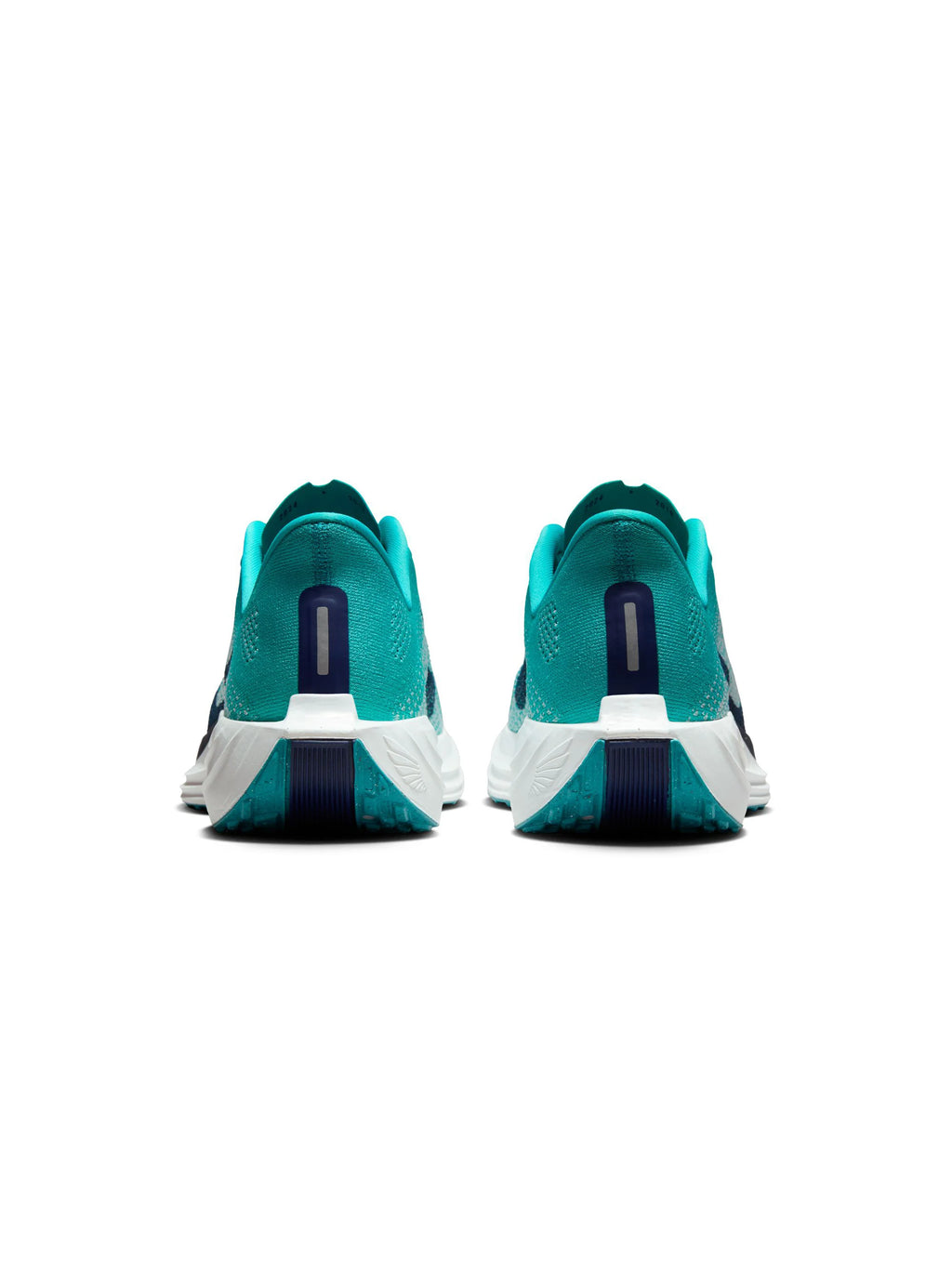 Nike Pegasus Plus Mens Shoes