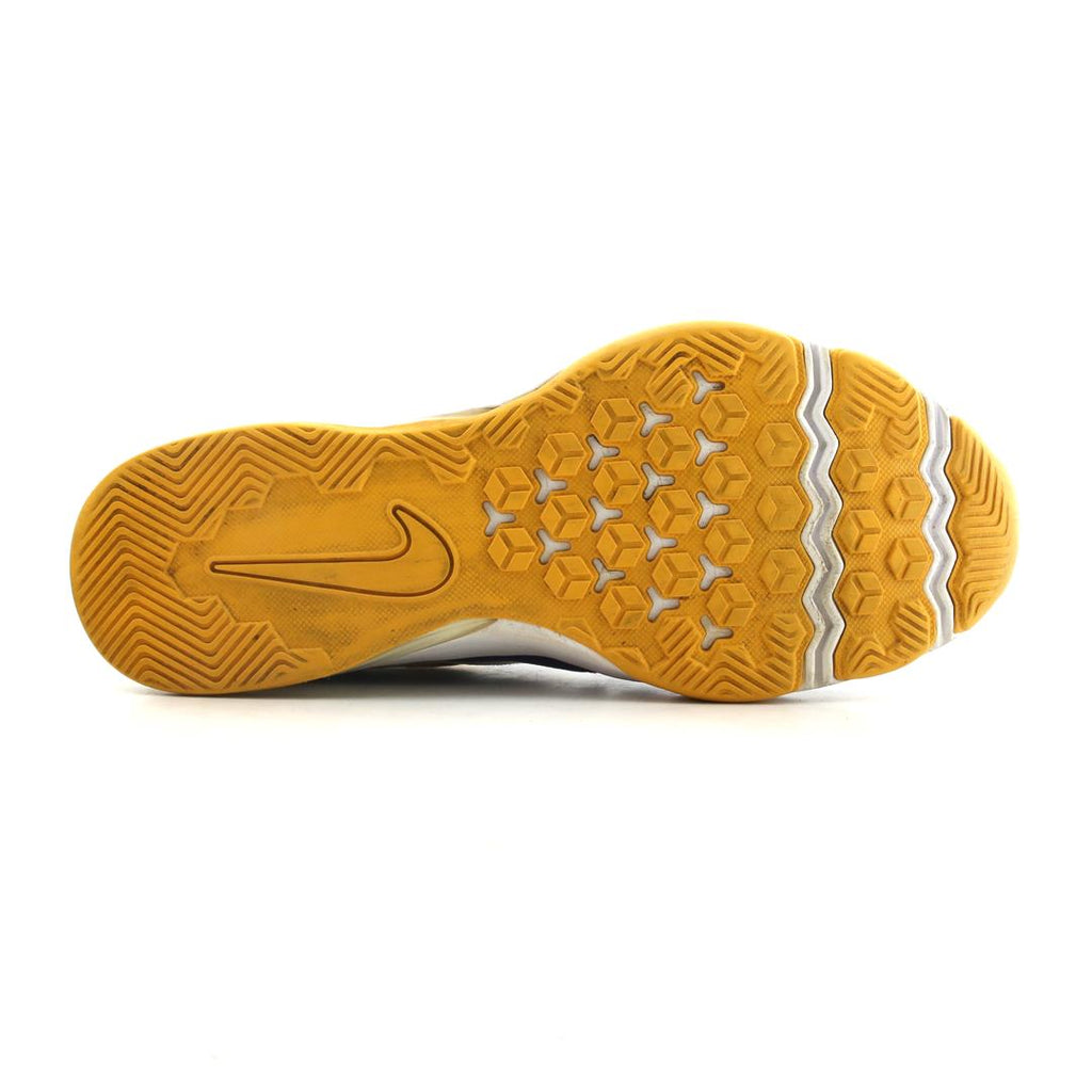 AIR ZOOM ISU TIGER