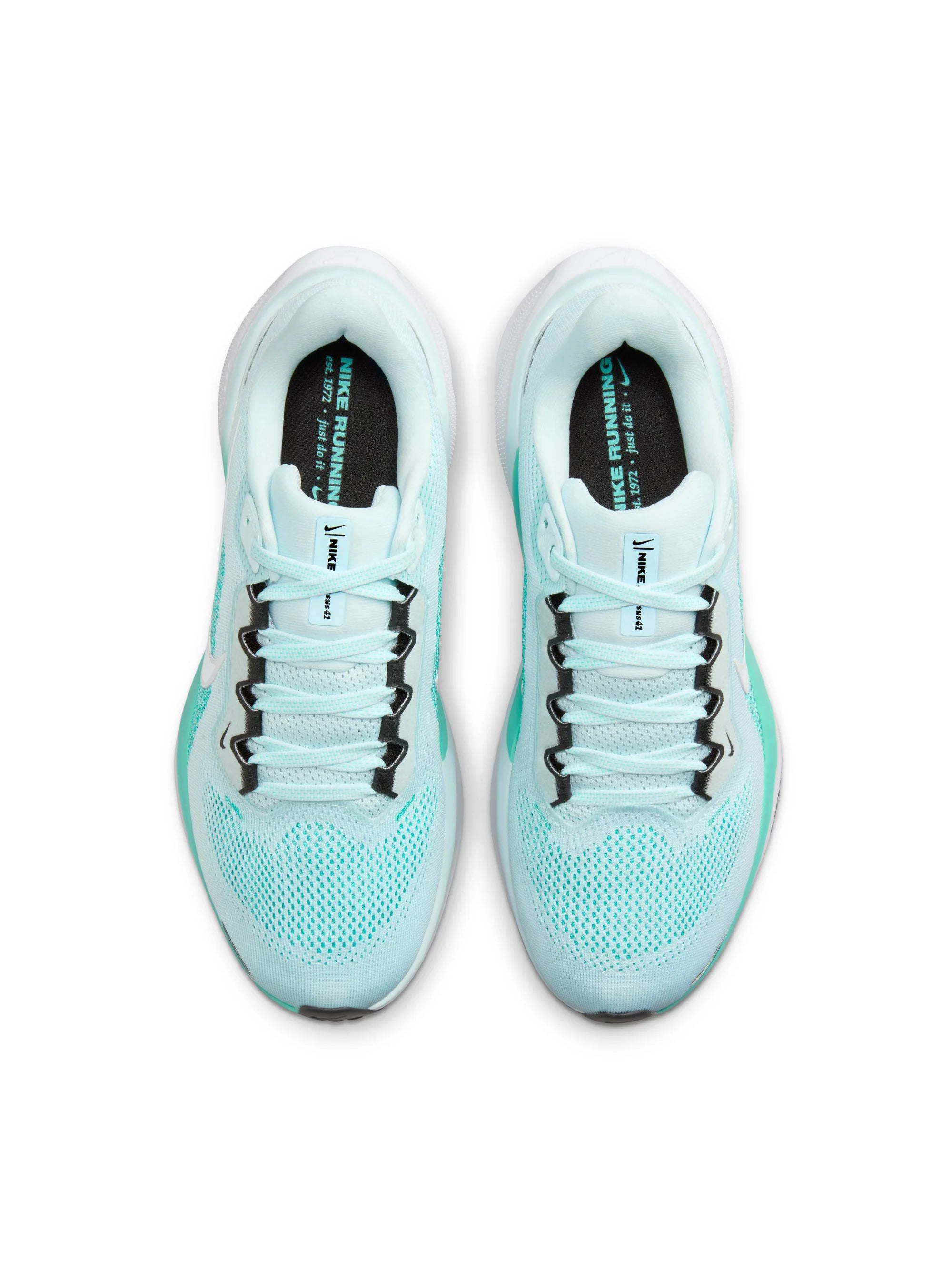 Nike Air Zoom Pegasus 41 Womens Shoes