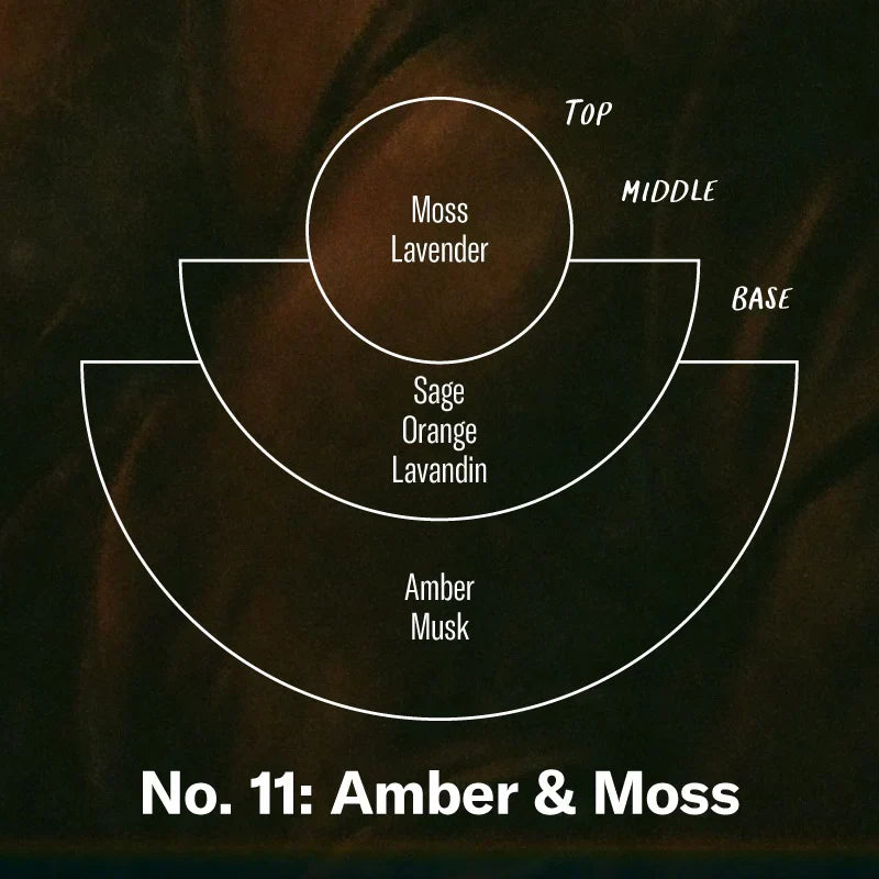 7.2oz Amber & Moss Standard Candle