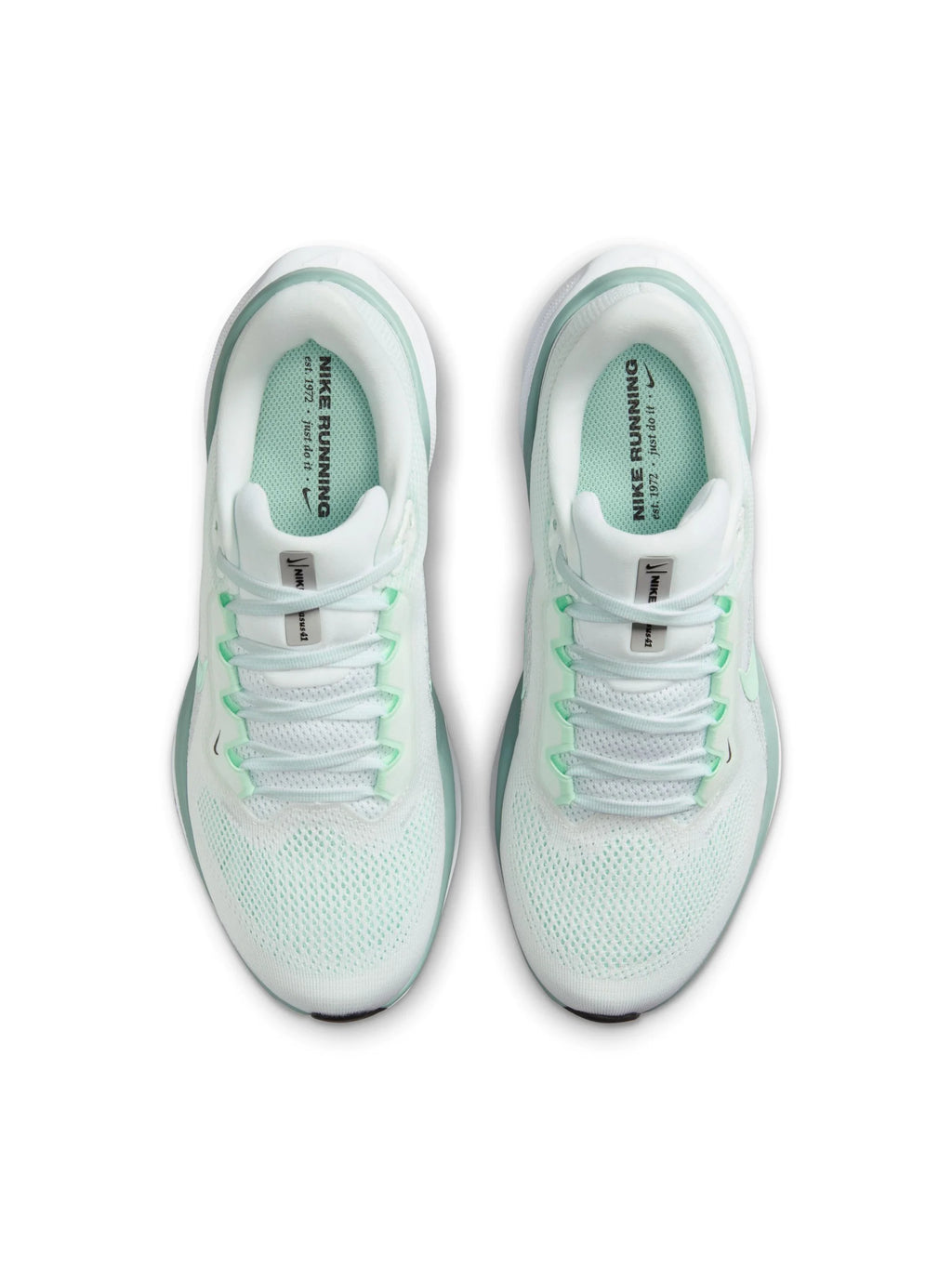Nike Air Zoom Pegasus 41 Womens Shoes