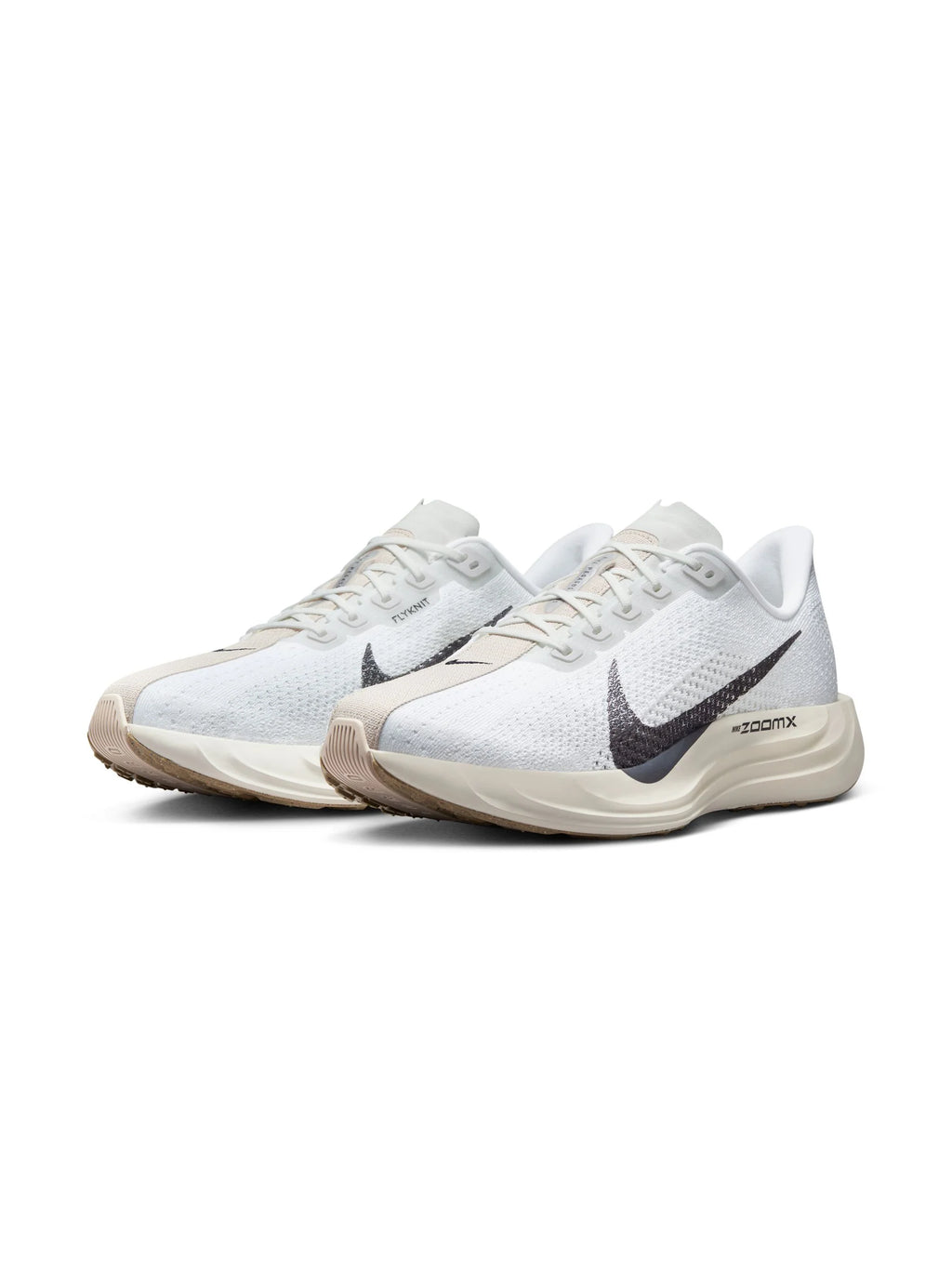 Nike Pegasus Plus Mens Shoes