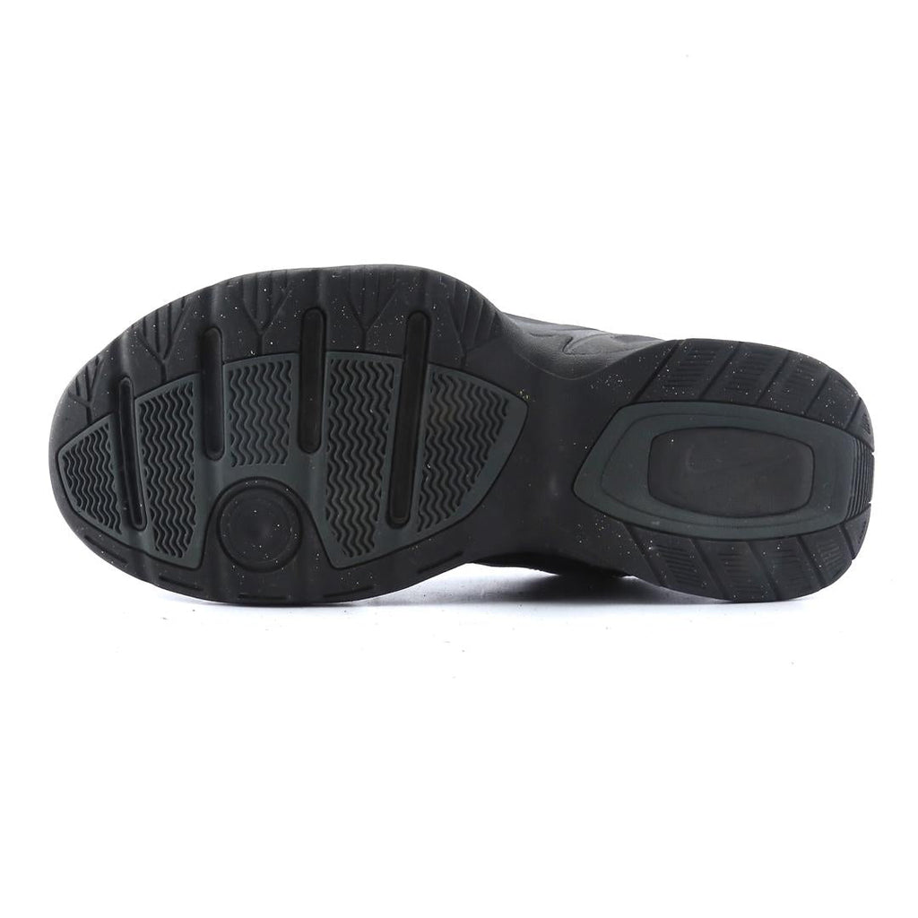 AIR MONARCH IV