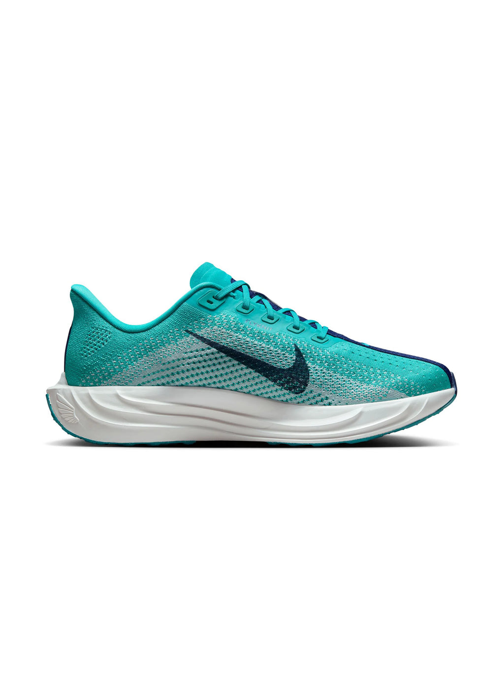 Nike Pegasus Plus Mens Shoes