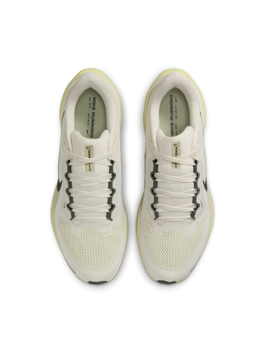 Nike Air Zoom Pegasus 41 Mens Shoes