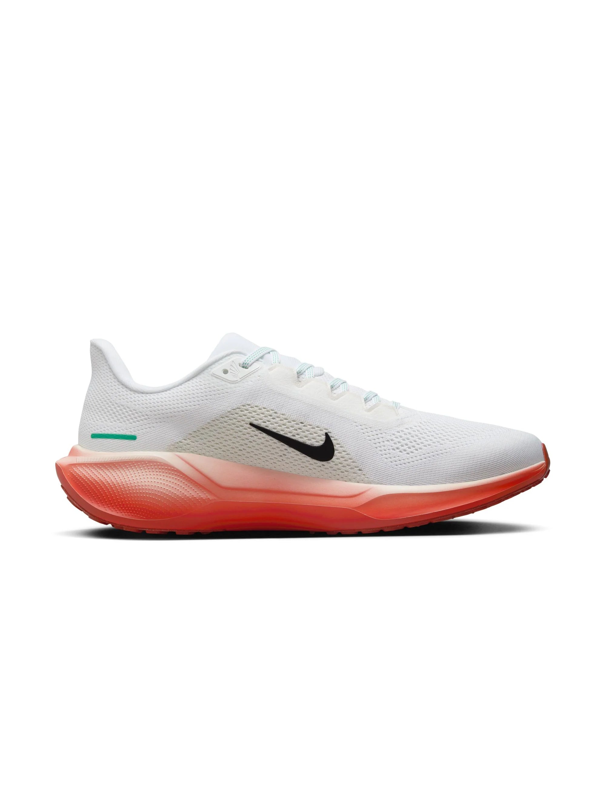 Nike Air Zoom Pegasus 41 Mens Shoes
