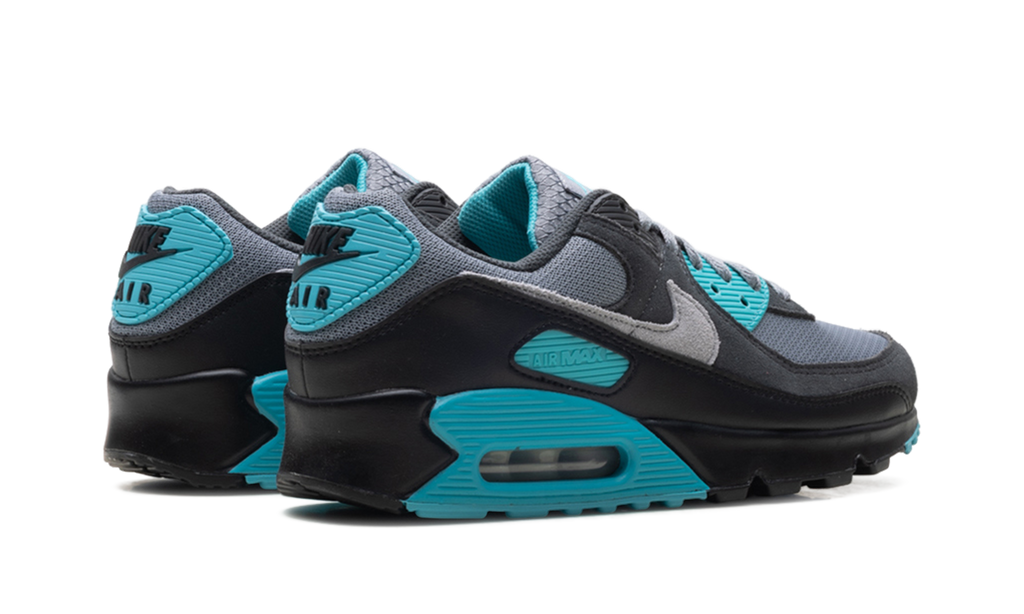 Air Max 90 "Dusty Cactus" DM0029 013