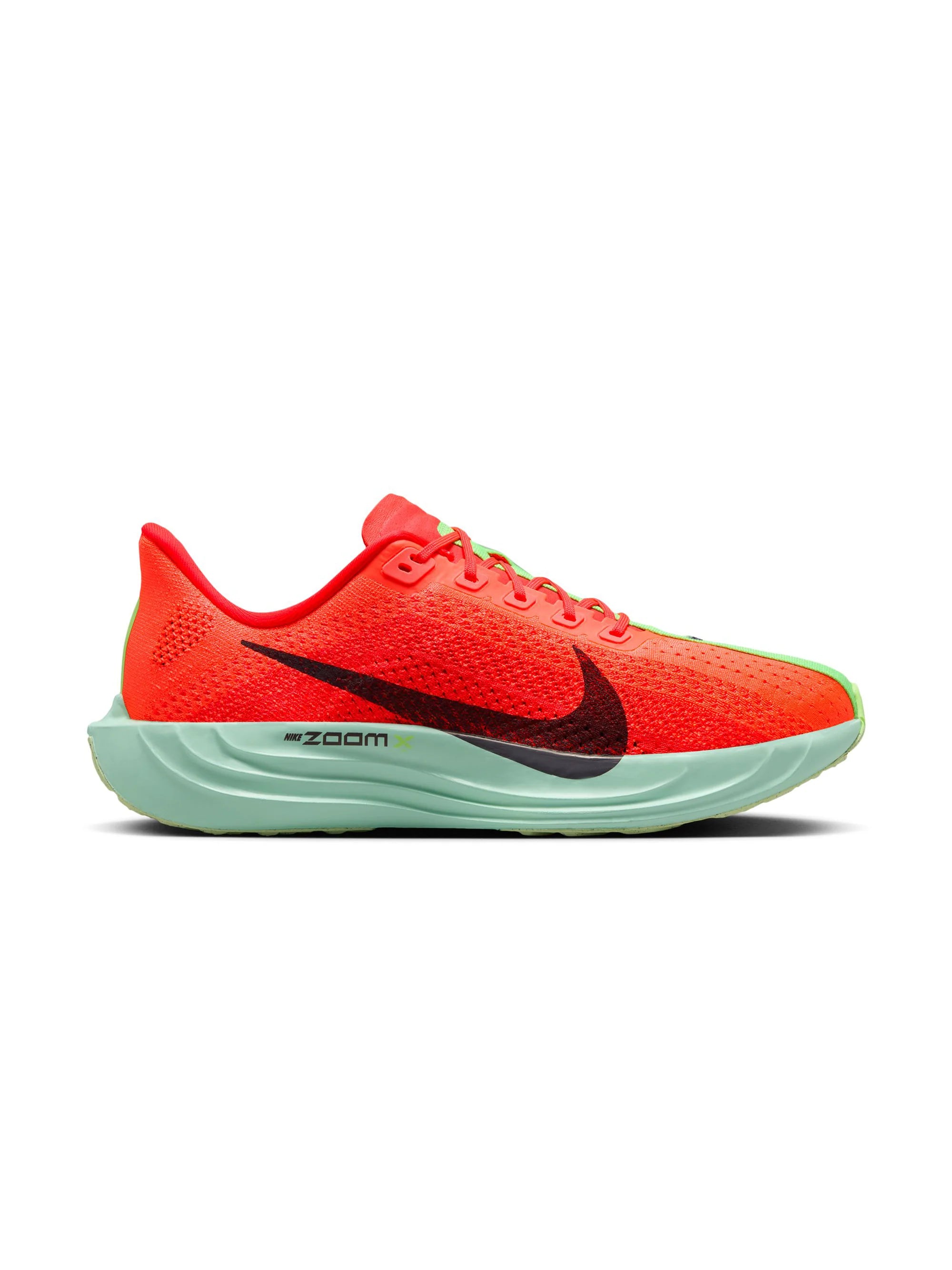 Nike Pegasus Plus Mens Shoes