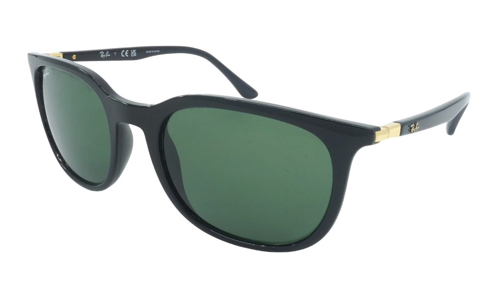 Pillow Sunglasses "Black" RB4386-601-31_54