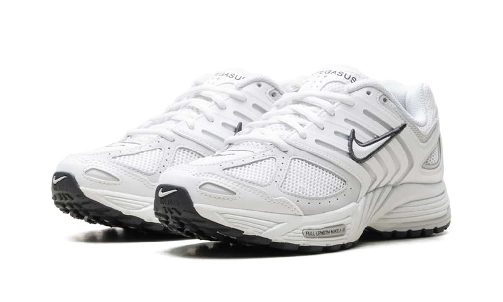 Air Pegasus 2005 WMNS"Summit White Photon Dust" HQ5718 103