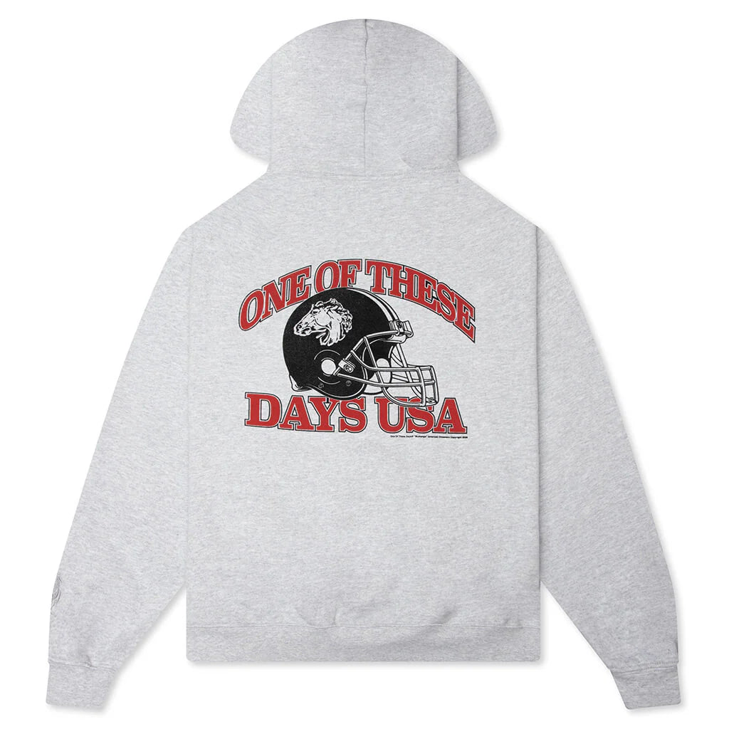 Days USA Zip Up Hoodie Heather Grey