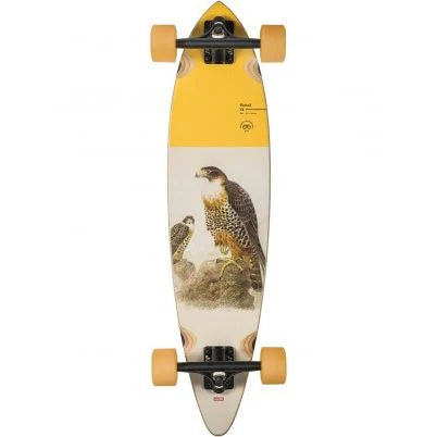 Globe Pintail Cruiser Complete Falcon