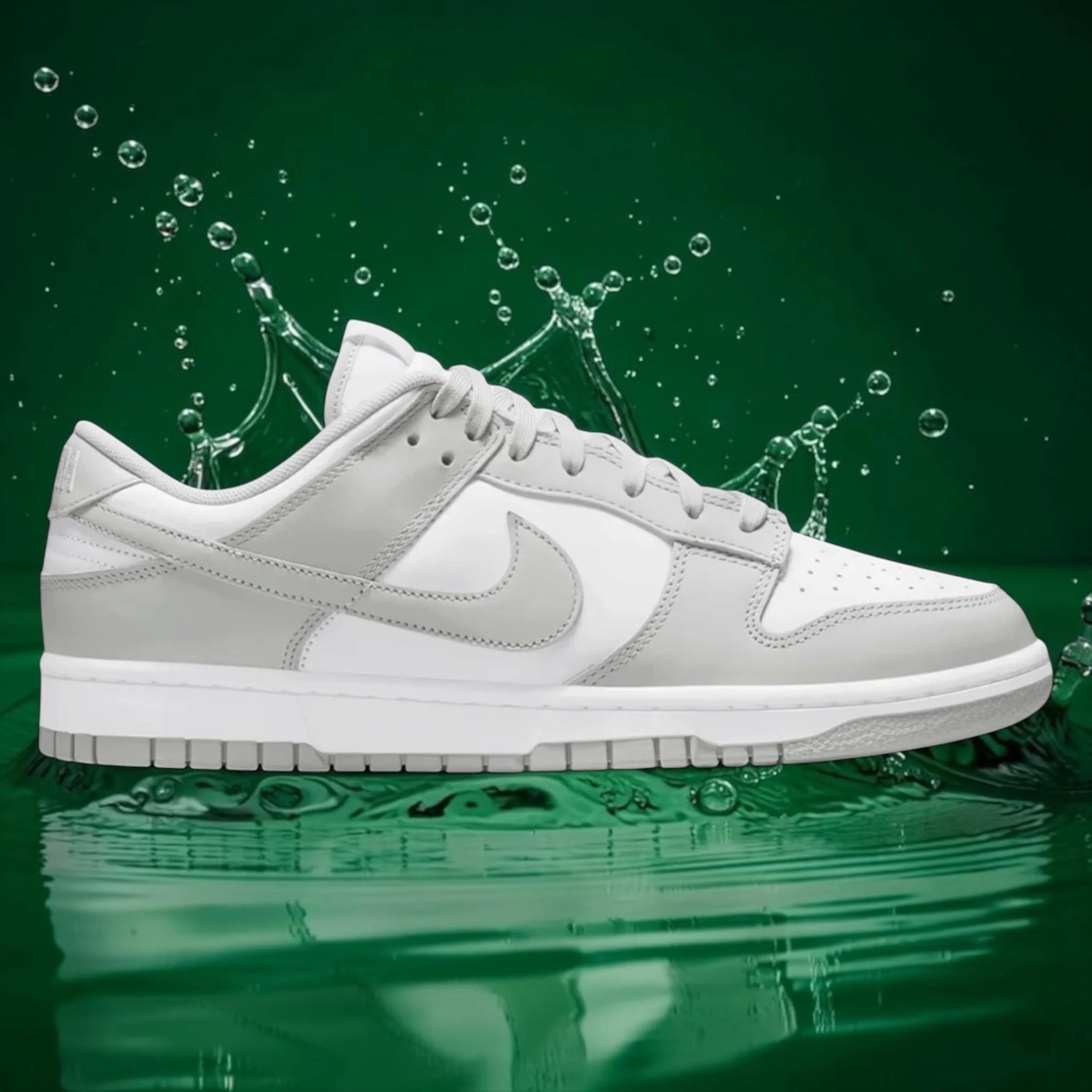 NK DUNK LOW