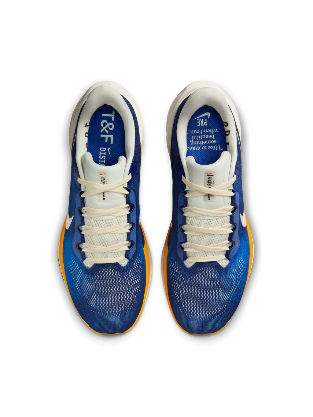 Nike Air Zoom Pegasus 41 Mens Shoes