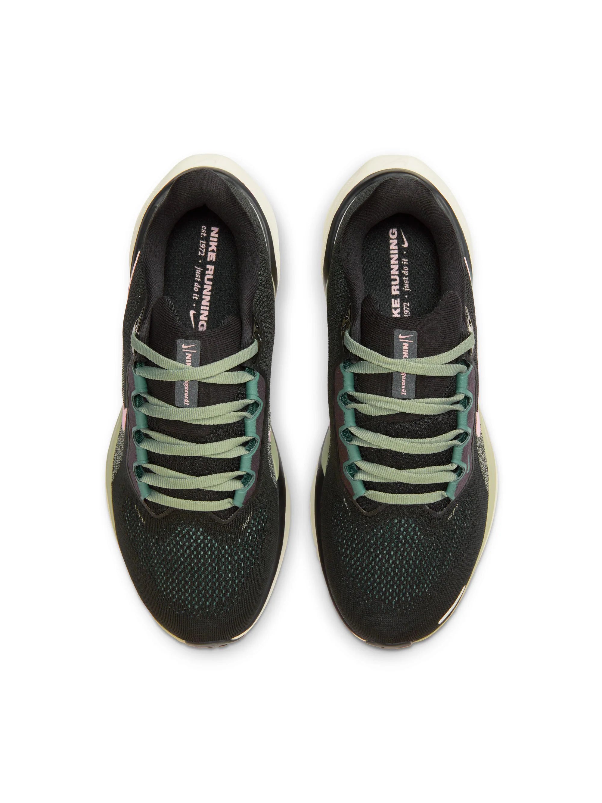 Nike Air Zoom Pegasus 41 Womens Shoes