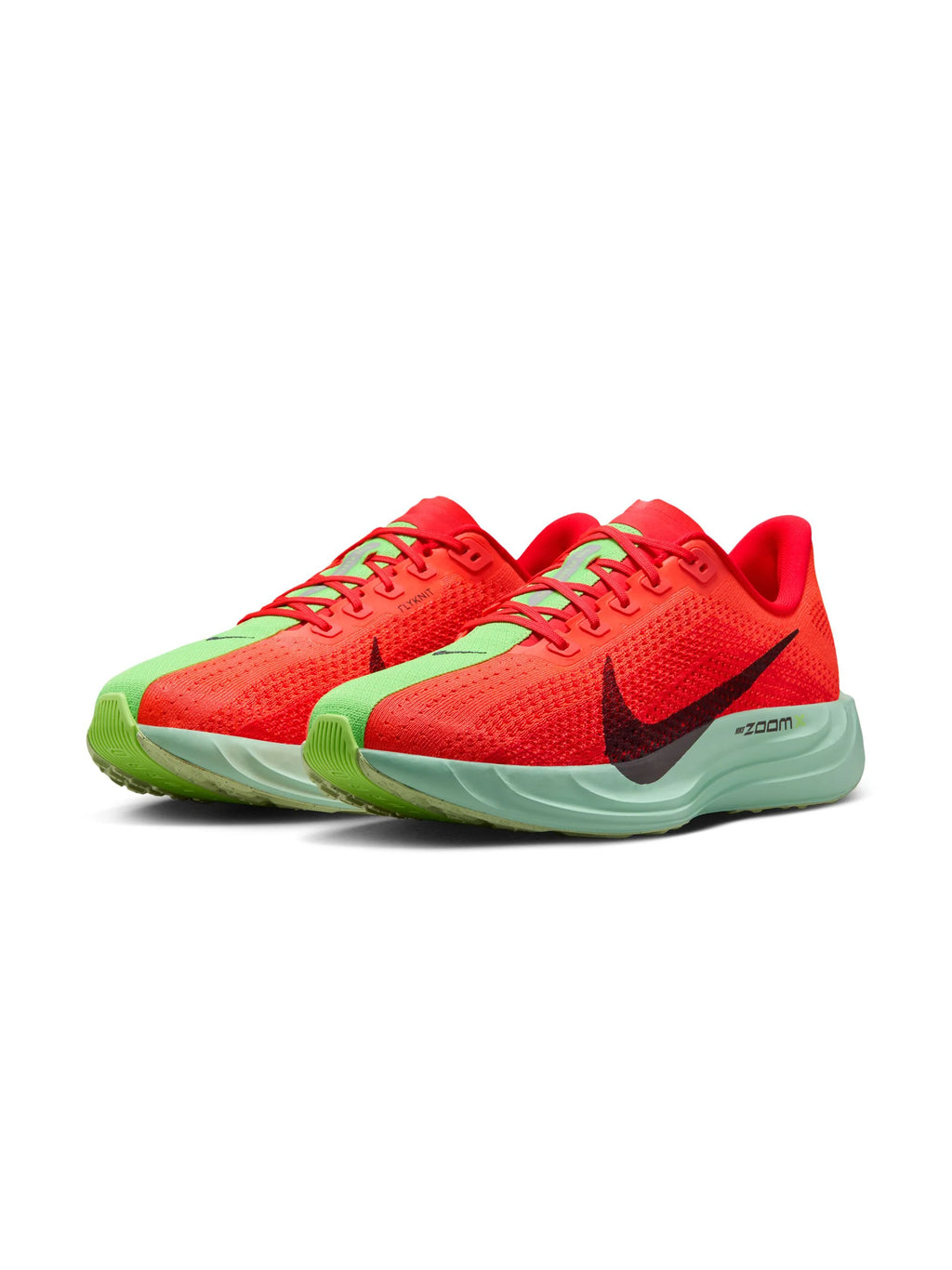 Nike Pegasus Plus Mens Shoes