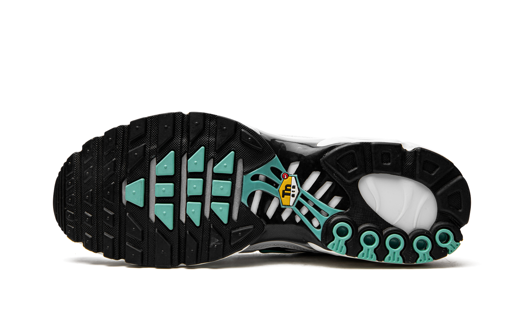 Air Max Plus "Atmos" 604133 148
