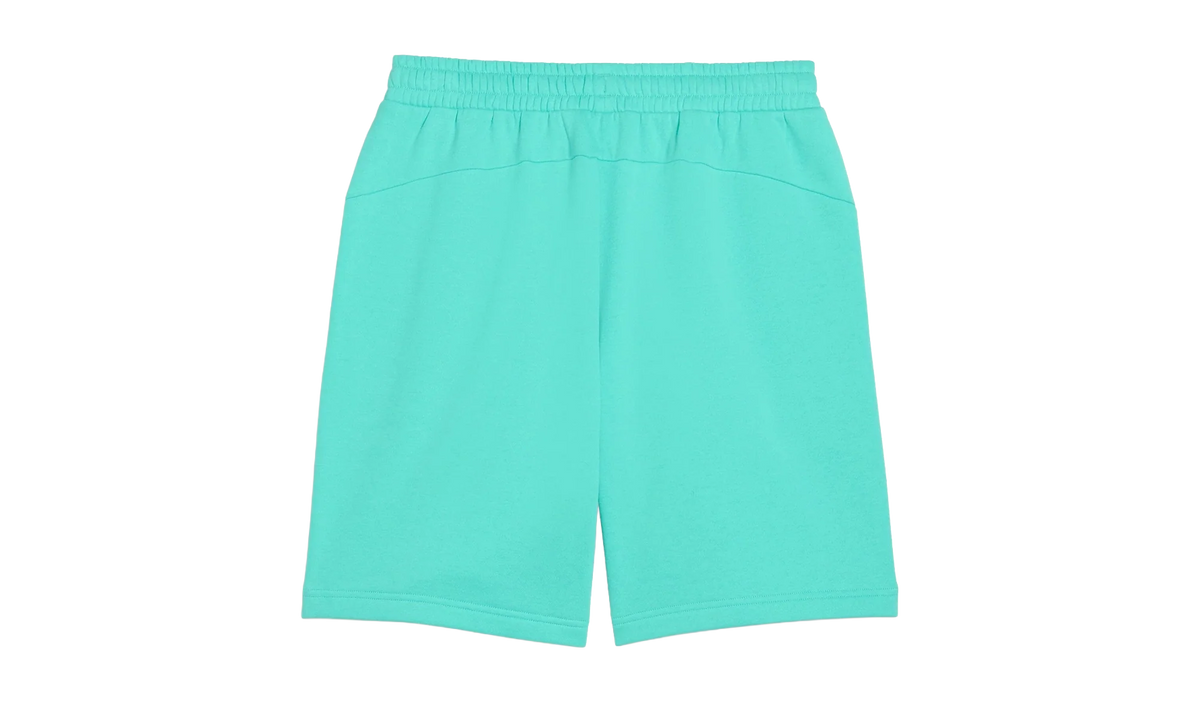 BMW MOTORSPORT ESS+ FLEECE SHORTS "Green" 633286 17