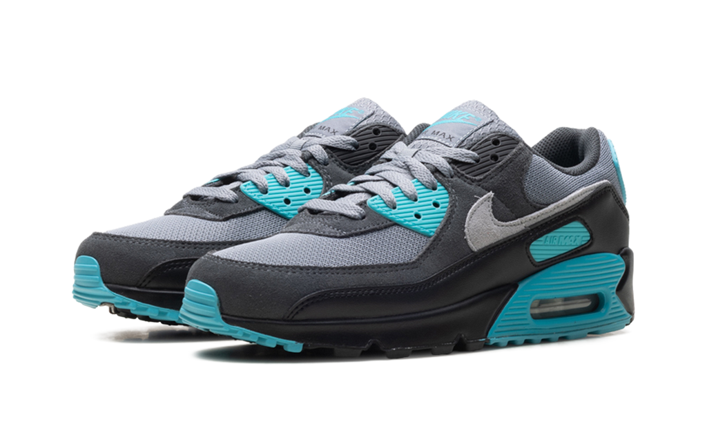 Air Max 90 "Dusty Cactus" DM0029 013