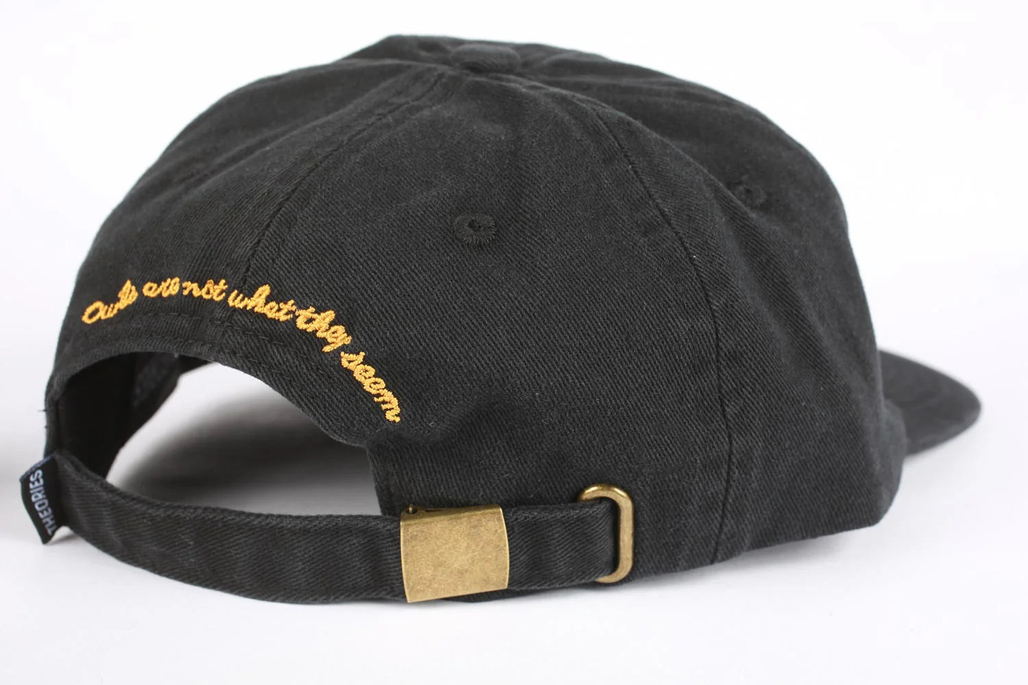 Theories Not What They Seem Strapback Hat Black