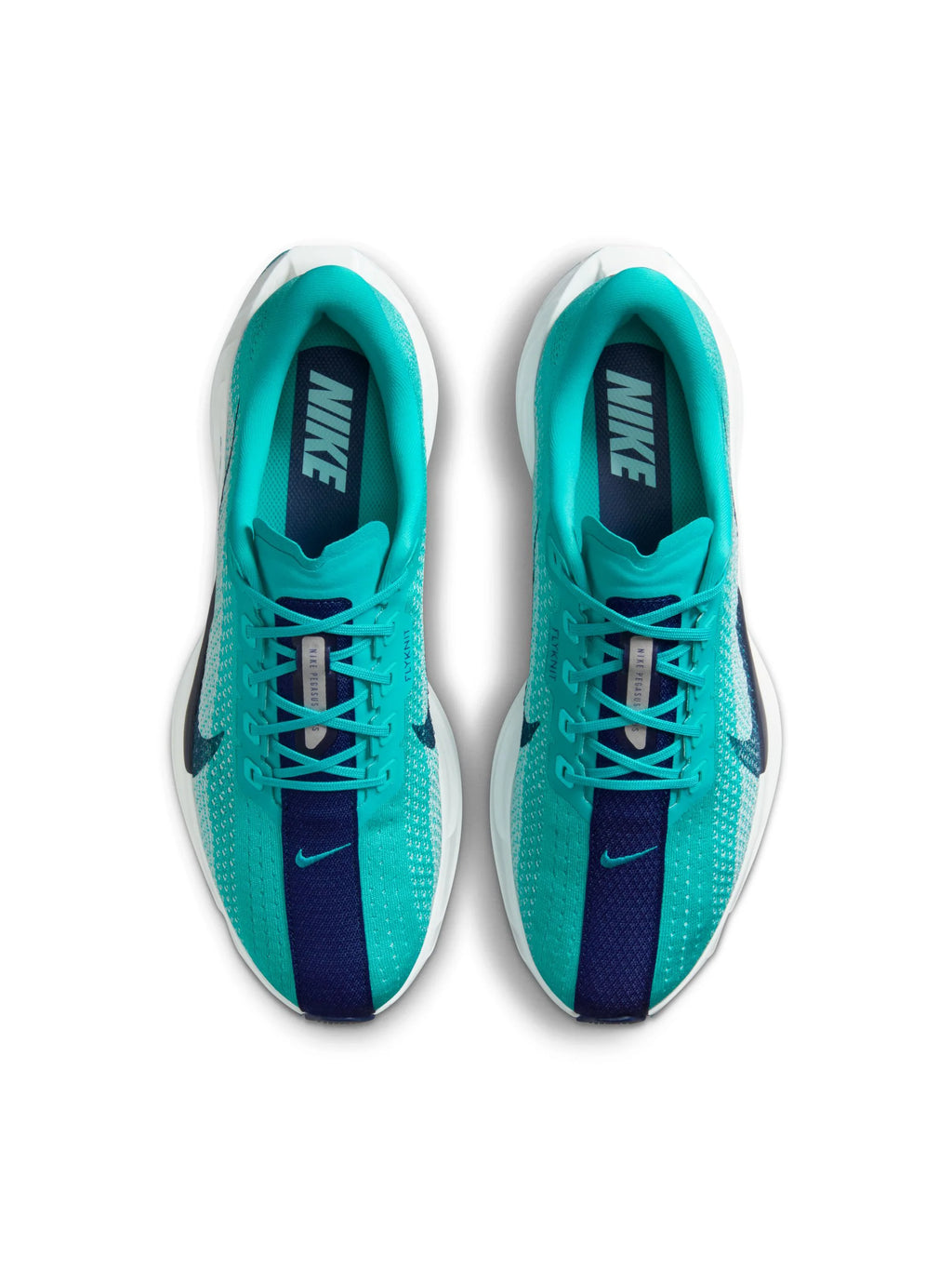 Nike Pegasus Plus Mens Shoes