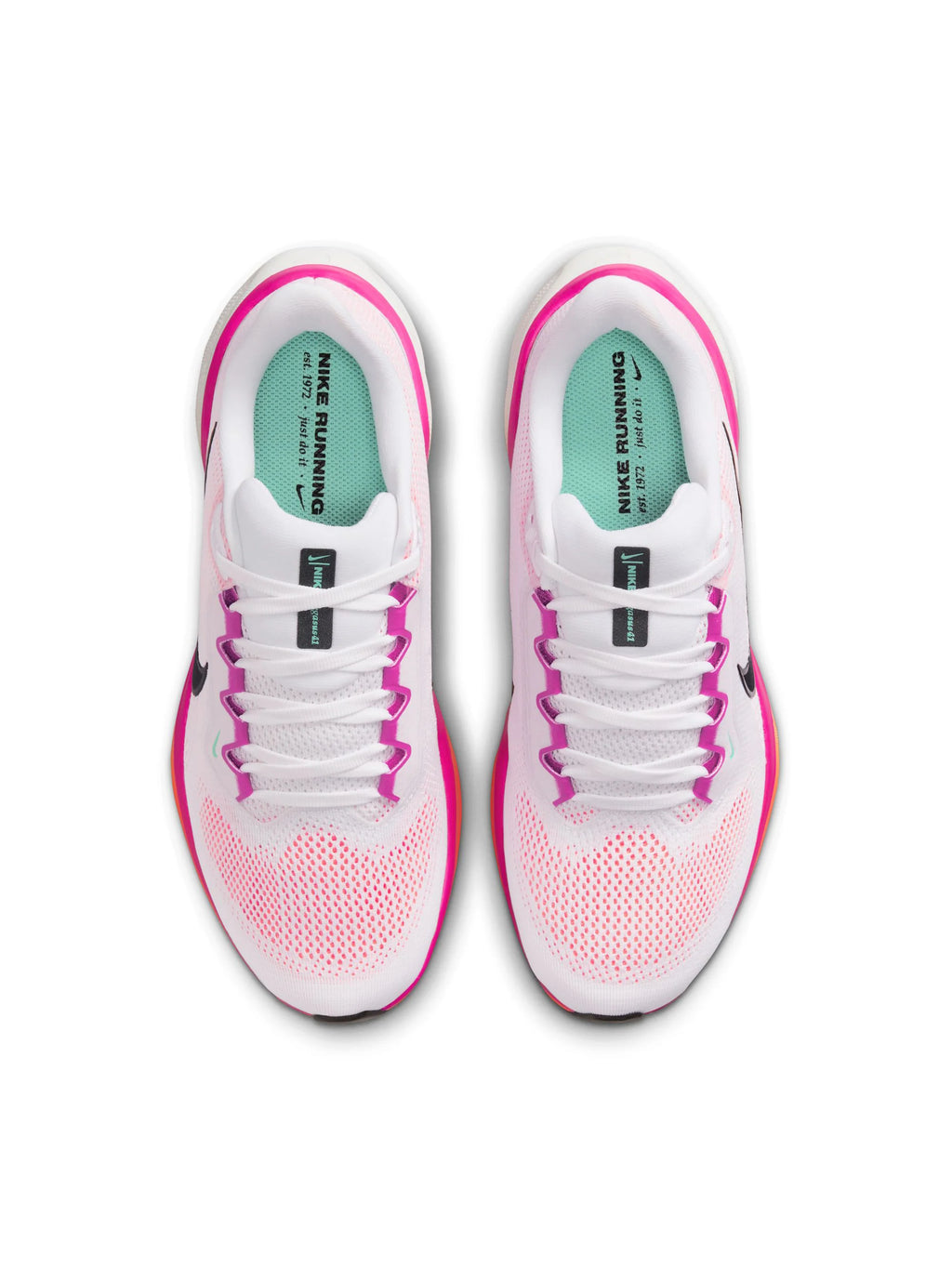 Nike Air Zoom Pegasus 41 Womens Shoes