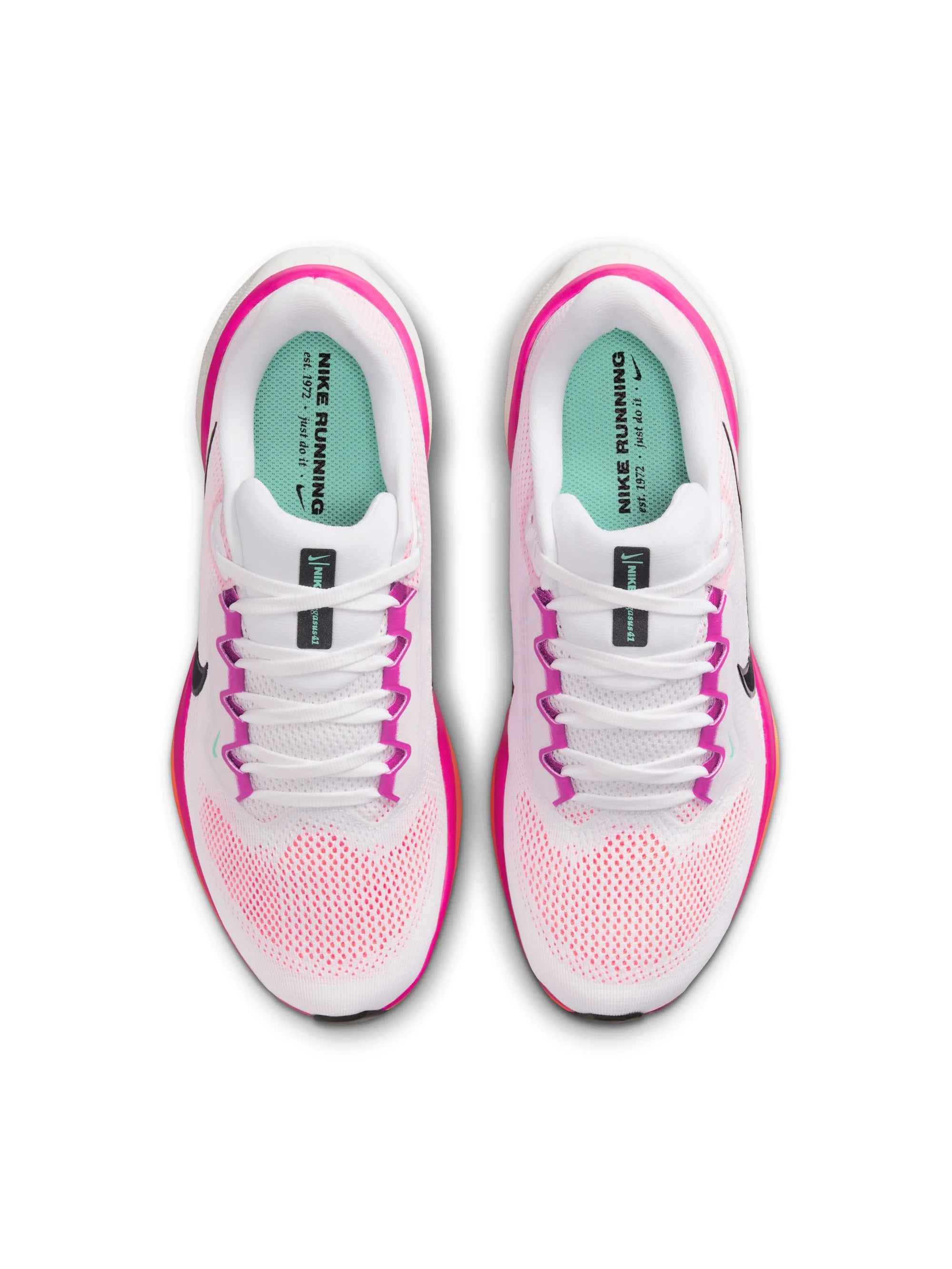 Nike Air Zoom Pegasus 41 Womens Shoes