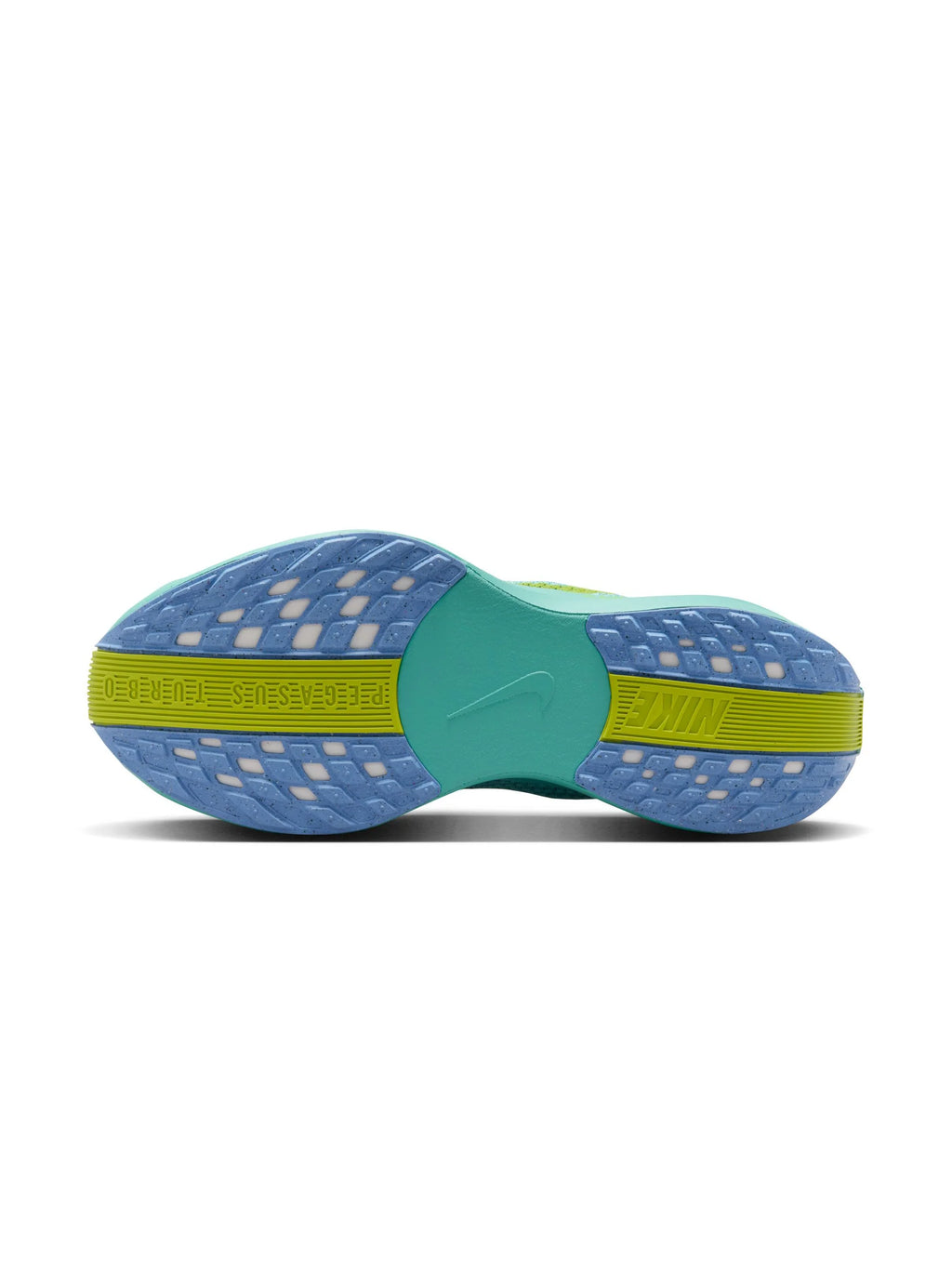 Nike Pegasus Plus Womens Shoes