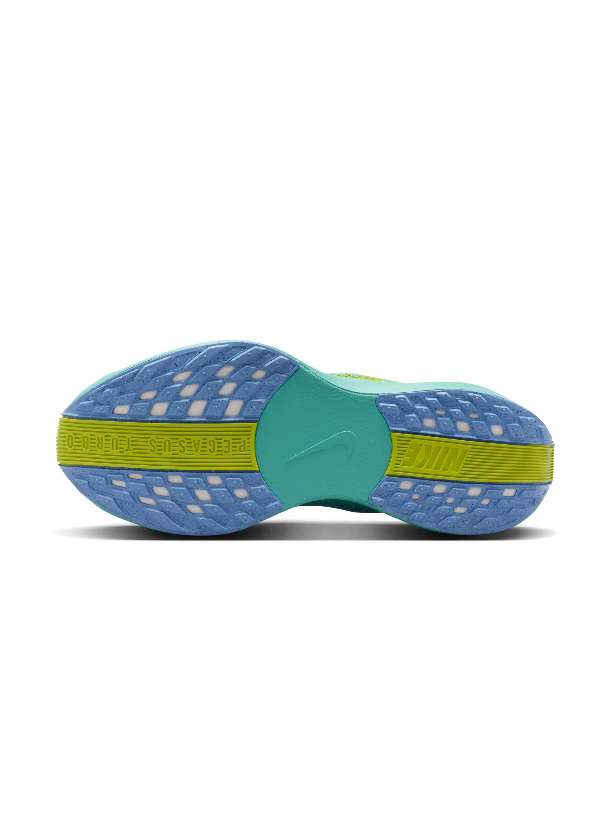 Nike Pegasus Plus Womens Shoes