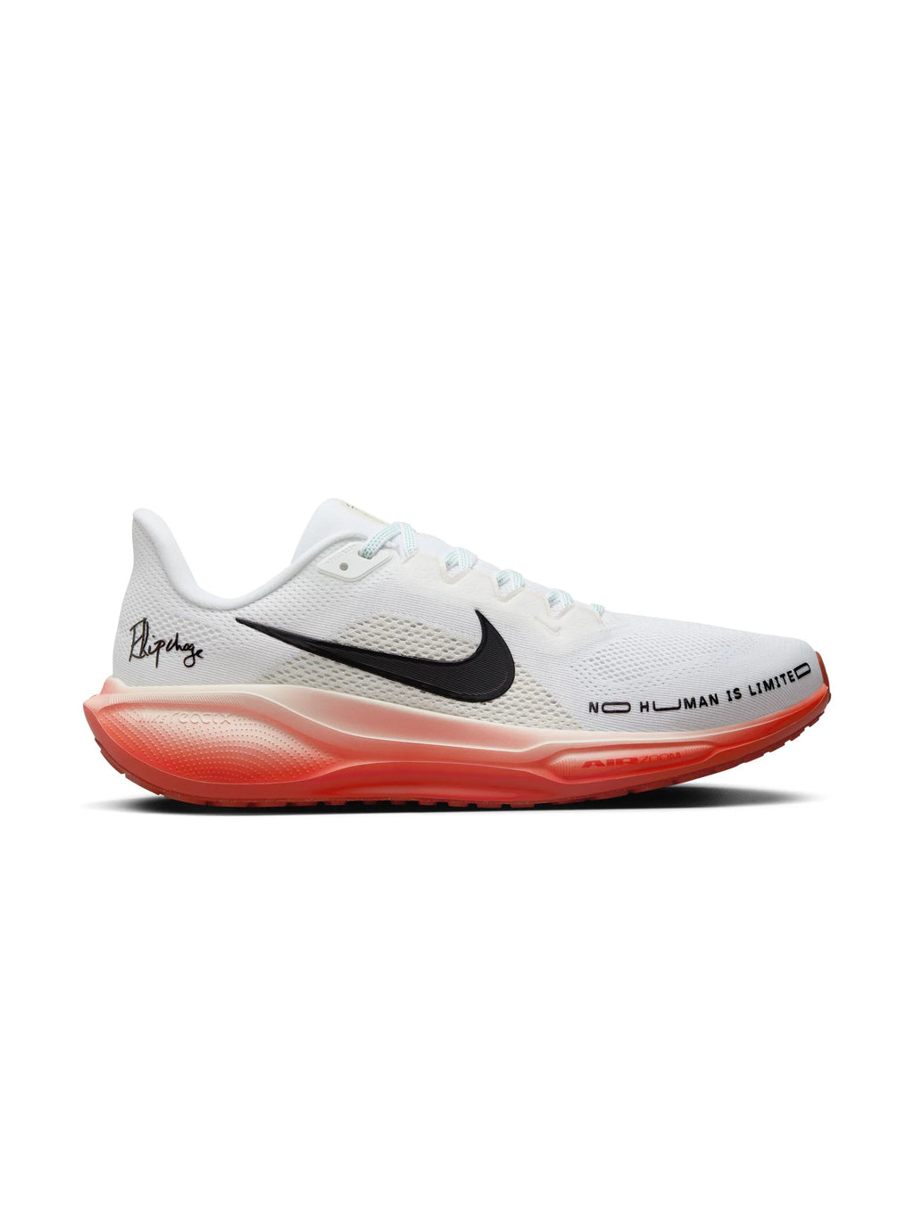 Nike Air Zoom Pegasus 41 Mens Shoes