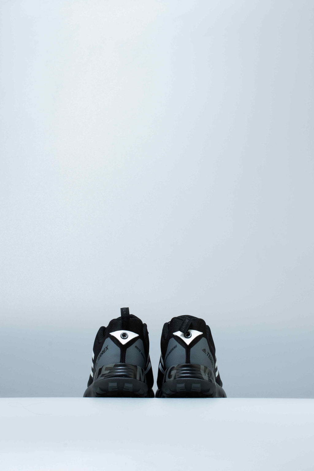 Terrex Two GTX Mens Shoe Black White