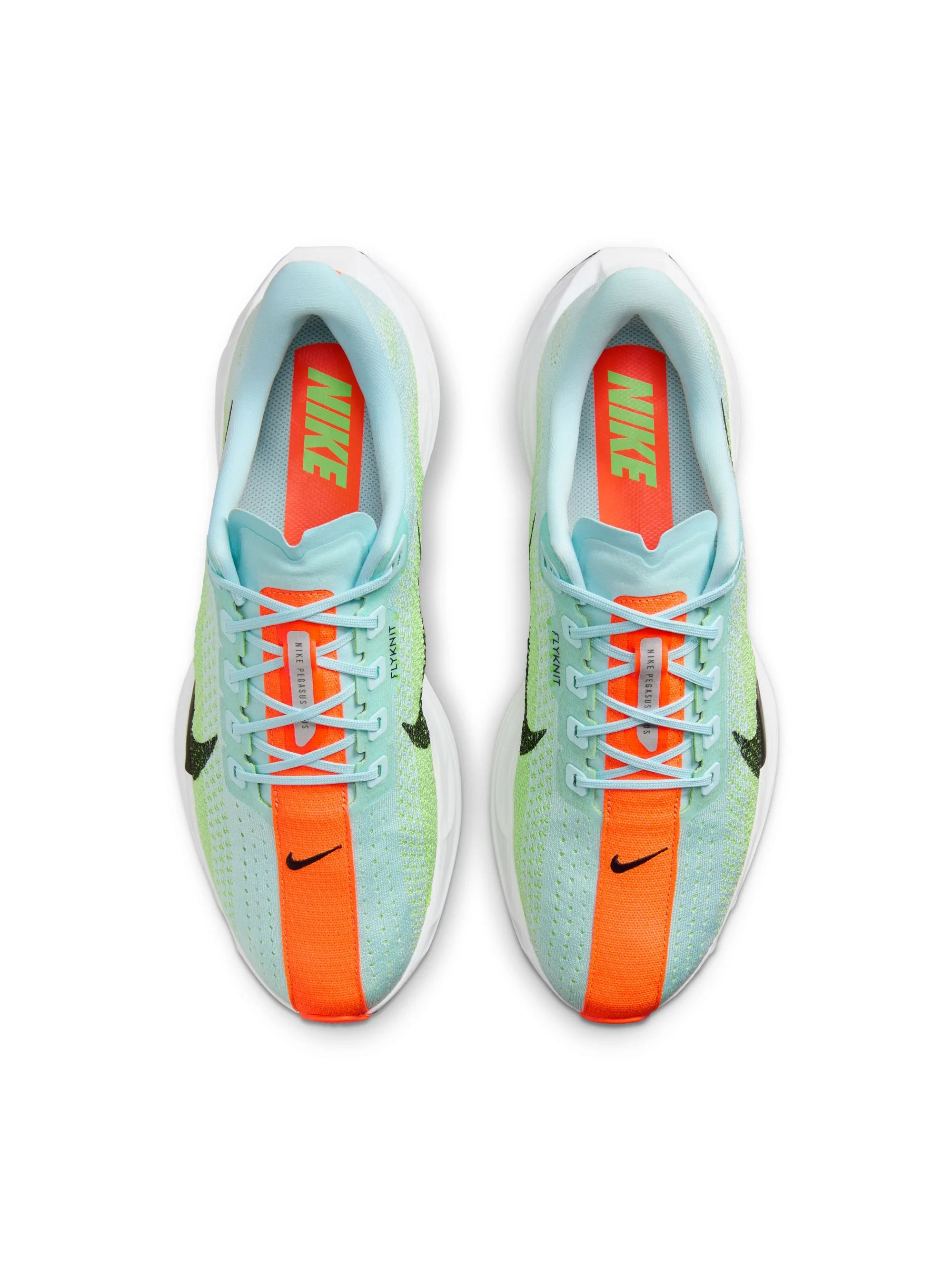 Nike Pegasus Plus Mens Shoes