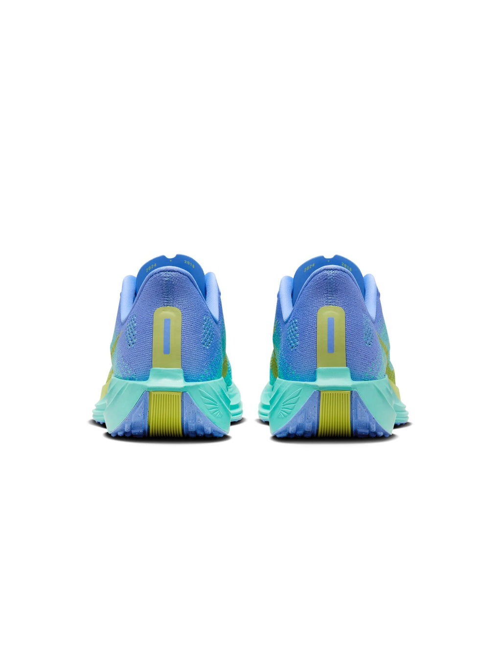 Nike Pegasus Plus Womens Shoes