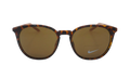 Journey Sunglasses "Tortoise / Fossil Rose / Dark Brown" DV2292 220