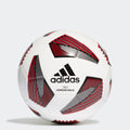 Tiro League Sala Ball