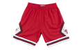 Chicago Bulls Swingman Shorts "1975 - 76 Road" 2FU5I9MD