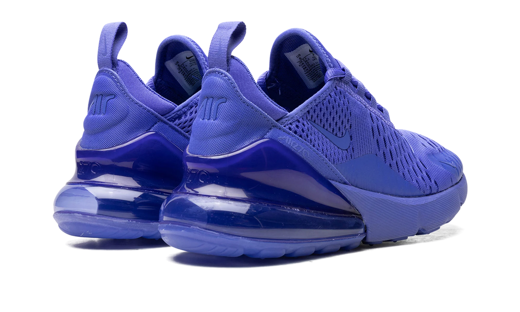 Air Max 270 WMNS"Light Ultramarine" AH6789 500